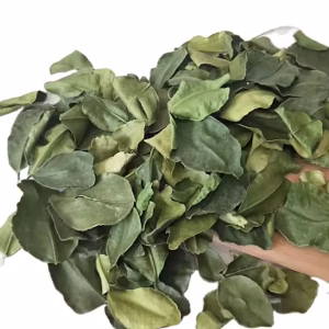 Daun jeruk deliamor