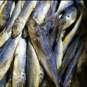 Peda kecil (japuh) 500g